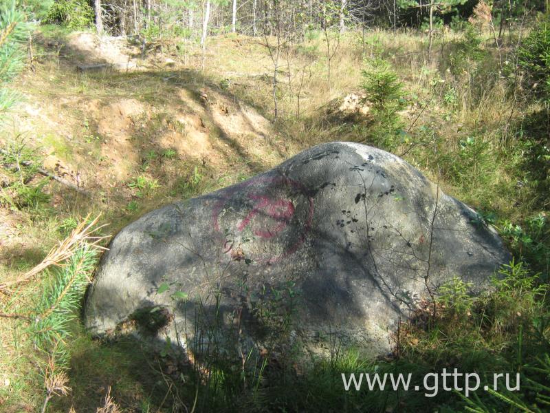 Мамонтов камень в Сокольском районе Нижегородской области, фото Евгения Васильева
