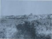 Часть панорамной фотографии Вычурок, 1952 год