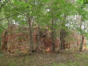Руины усадьбы Штевен в Яблонке, фото Владимира Бакунина