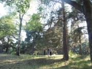 Сормовский парк культуры и отдыха, фото Ольги Новоженовой