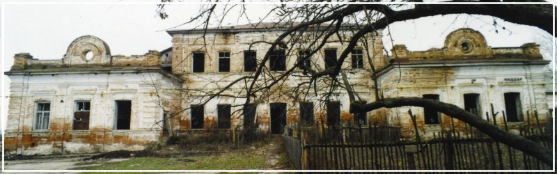 Копёнки. Главный дом Хлюстиных, 2001 год, фото Елены Холодовой